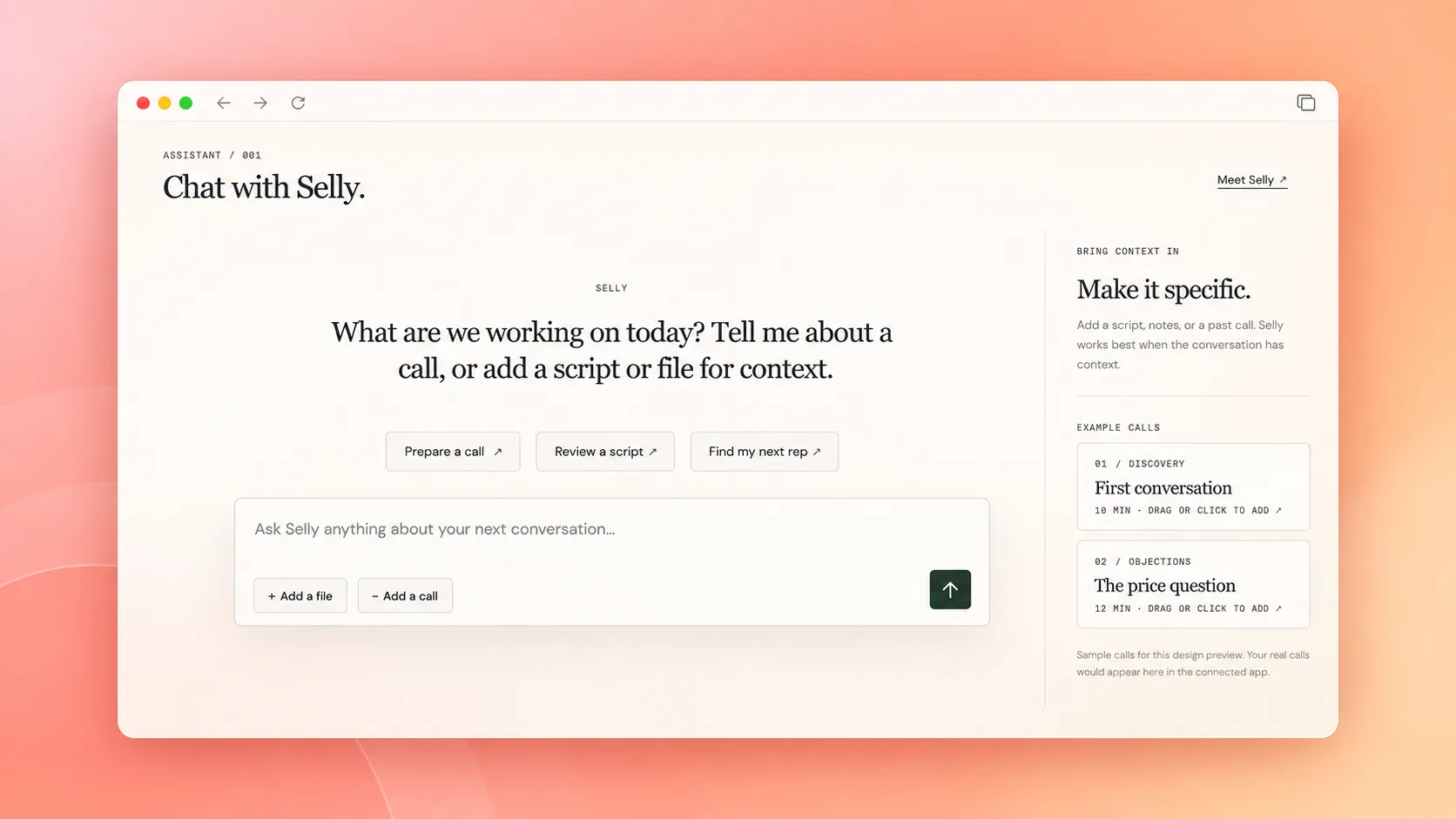 Selly conversation assistant interface