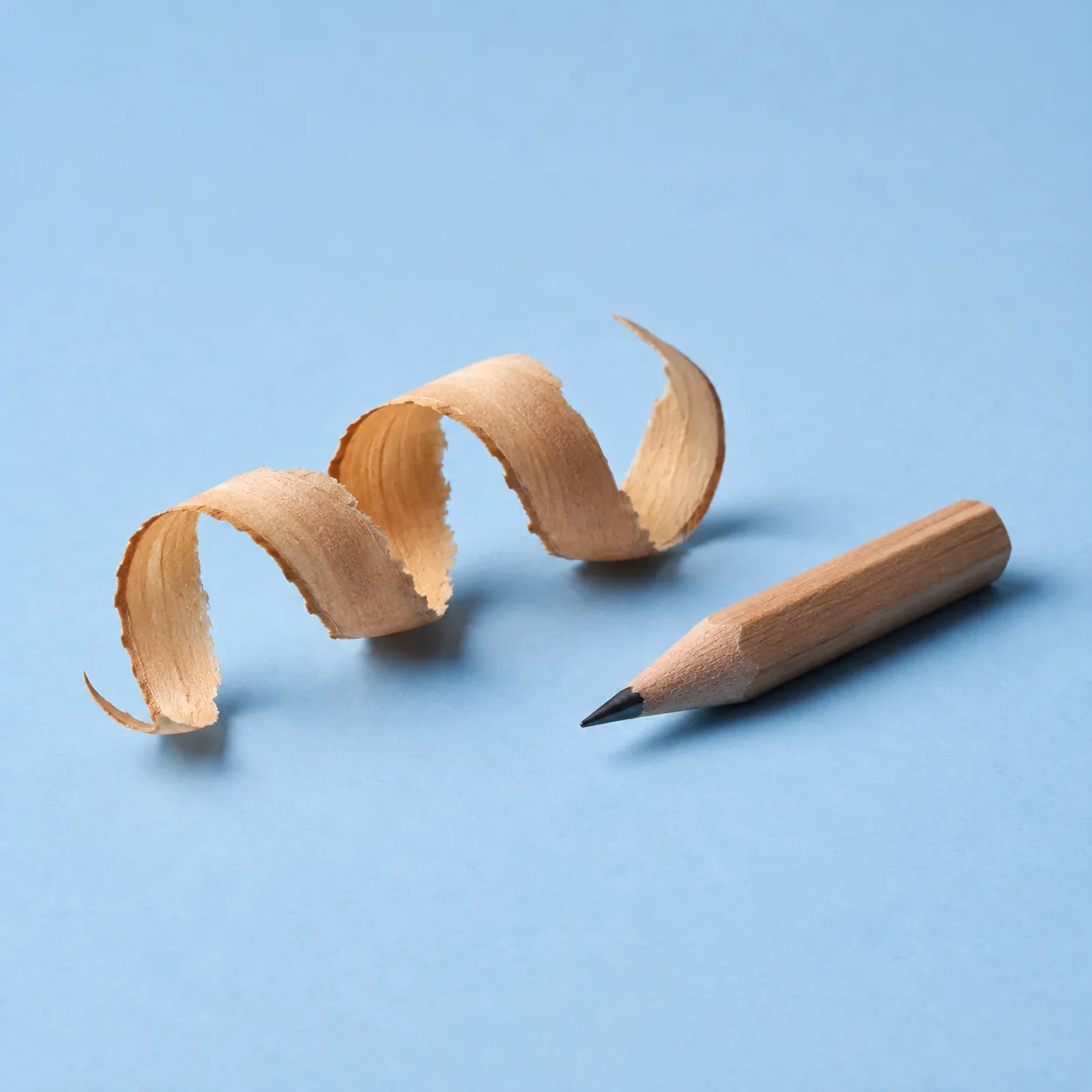 A short sharpened pencil beside one long curl of shaving